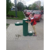Poidełko uliczne GRM-PF zdrój wody pitnej - słupek, obniżona misa boczna i dla zwierząt